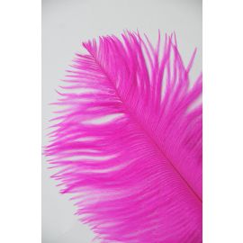 Fuchsia/Magenta Ostrich Feathers 10-12 inch 100 Pieces