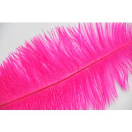 Hot  Pink Ostrich Feathers 10-12 inch 12 Pieces