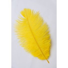 Yellow Ostrich Feathers 12-14 inch 12 Pieces