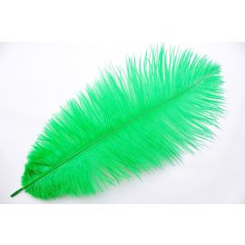 Sale!!! Green/Emerald Green Ostrich Feathers 8-10 inch 100 Pieces