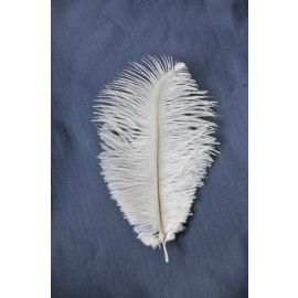 Sale!!!  Ivory Ostrich Feather 8-10 inches 100 pieces