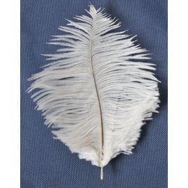 White Ostrich Feathers 6-8 inch 12 Pieces
