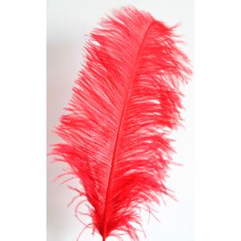 Red Ostrich Plumes/Wings 22-24 inch 12 Pieces