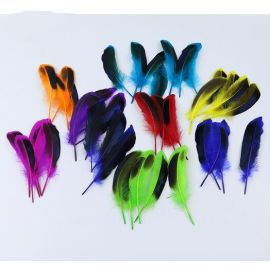 Duck Cosse Feathers Dyed Wild Duck Feathers 100pcs Fuchsia