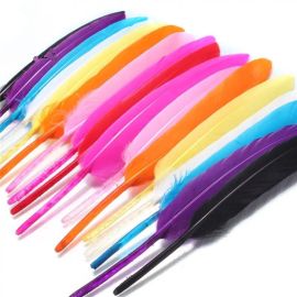 Goose Feathers Packed Loose Feathers 4-6 inches Long White color 100Pcs