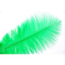 Green/Emerald Green Ostrich Feathers 6-8 inch 12 Pieces