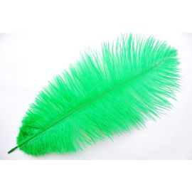 Green/ Emerald Green Ostrich Feathers 14-16 inch 50 Pieces