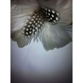 Pink Feather Hat Pin/feather flower/Corsage /Feather Clip