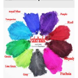 Ostrich Feathers-12-14 inches 500Pieces Any color in the picture