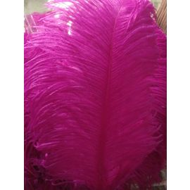 Fuchsia/ magenta Ostrich Feathers/ plume 22-24 inch 50 Pieces