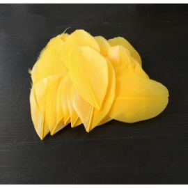 100 Pieces Feather Petals Feather Fillers Feather Confetti Gold