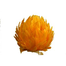 Premium Large Feather Balls /Rose Balls/Flower Balls  Gold 12 Inch