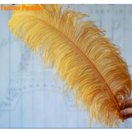 Gold Ostrich Feathers/Plumes  5 Pieces-18-20 inch