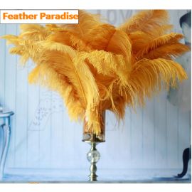 Gold Ostrich Feathers/Plumes  12 Pieces-18-20 inch