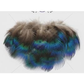 Blue Peacock Feathers 3 inches Natural Peacock Feathers 100pcs