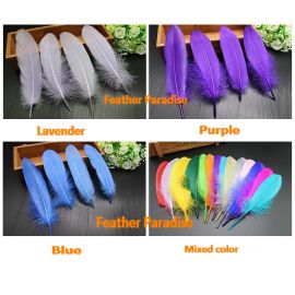 Goose Pallet Goose Loose Feathers Fancy Loose Goose Feathers 20pcs Lavender