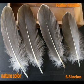 Goose Pallet Goose Loose Feathers Fancy Loose Goose Feathers 20pcs Natural color