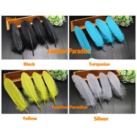 Goose Pallet Goose Loose Feathers Fancy Loose Goose Feathers 20pcs Black