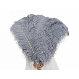 Silver Ostrich Feathers Plumes18-20 inch 5 Pieces