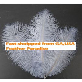 Silver Ostrich Feathers 6-8 inch 12 Pieces