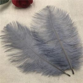 Silver Ostrich Feathers 6-8 inch 100 Pieces