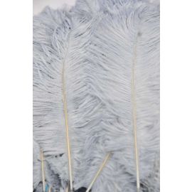 Silver Ostrich Feathers Plumes 16-18  inch 50 Pieces