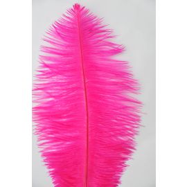 Hot Pink Ostrich Feathers/ Plumes 16-18 inch 12 Pieces