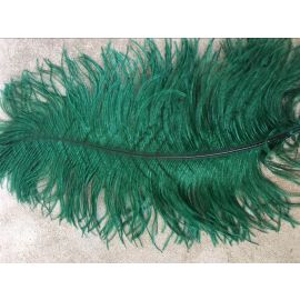 Hunter Green Scarlet Green Dark Green Ostrich Feathers 12-14 inches 100 Pieces