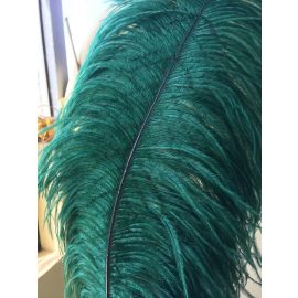 Hunter Green Dark Green Scarlet Green Ostrich Feathers 14-16 inches 50 Pieces