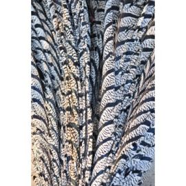 Natural Lady Amherst Pheasant  MiddleTail/Zebra Feathers 30-35 inch 6 pieces