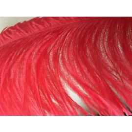 Red Ostrich Plume Feathers 18-20 inch 50 Pieces