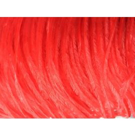 Red Ostrich Plume 18-20 inch 12 Pieces