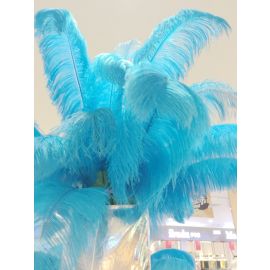 Turquoise Ostrich Feathers/Plumes  18-20 inch 50 Pieces