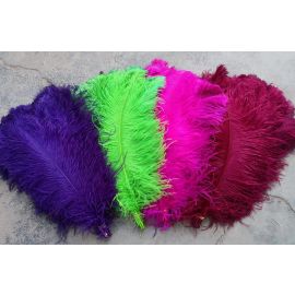 Fuchsia Ostrich Feathers Male Wing Plumes 24-26 inches 50 Pieces