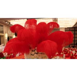 Red Ostrich Feathers Male Wing Plumes Large Feathers  26-28 inch 50 Pieces