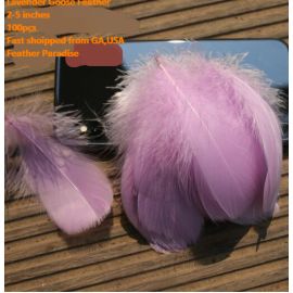 500 Pieces Packed Loose Goose Nagorie Feather  Feather Fillers Feather Confetti Lavender