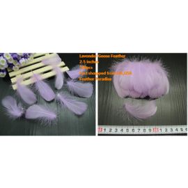 100 Pieces Packed Goose Nagorie Feathers Loose Feather  Feather Fillers Feather Confetti Lavender