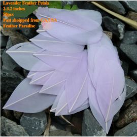 100 Pieces Feather Petals Feather Fillers Feather Confetti Lavender