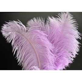 Lavender/Lilac Ostrich Feathers 6-8 inch 100 Pieces