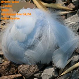 100 Pieces Packed Goose NAGOIRE Feathers Loose Feather  Feather Fillers Feather Confetti Light Blue