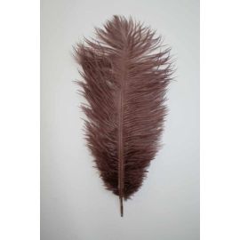 Brown Ostrich Feathers 14-16 inch 50 Pieces