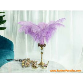 Lavender/Lilac Ostrich Feathers 16-18 inch 5 Pieces