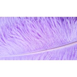Lavender/Lilac Ostrich Feathers 22-24 inch 50 Pieces