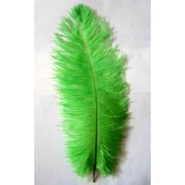 Sale!!! Lime Green Ostrich Feathers 10-12 inch 100 Pieces