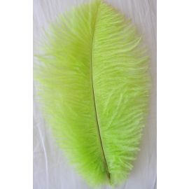 Lime Green Ostrich Feathers 12-14 inch 100 Pieces