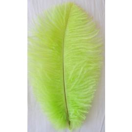 Lime Green Ostrich Feathers 6-8 inch 12 Pieces