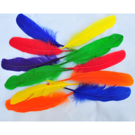 Loose Goose Wing Feathers Package