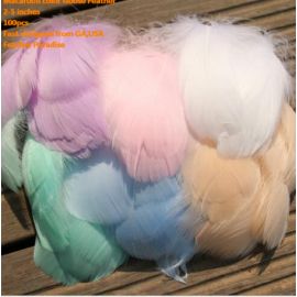 100 Pieces Packed Goose Nagorie Feathers Loose Feather  Feather Fillers Feather Confetti Macaroon