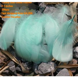 100 Pieces Packed Goose Nagorie Feathers Loose Feather  Feather Fillers Feather Confetti Mint