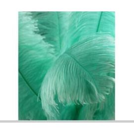 Mint Green Ostrich Feathers 6-8 inch 100 Pieces